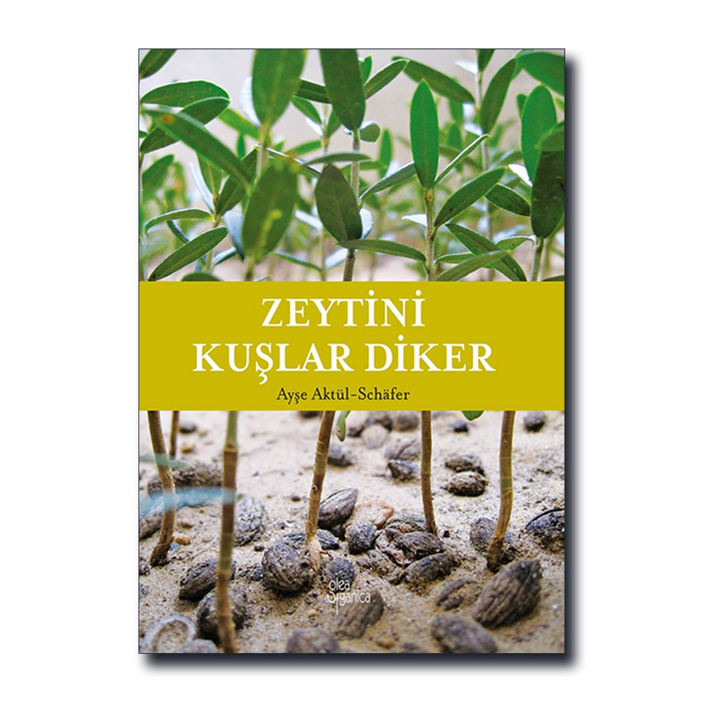 Zeytini Kuşlar Diker